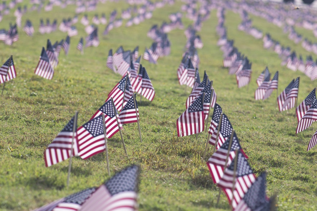 American Flags in grass