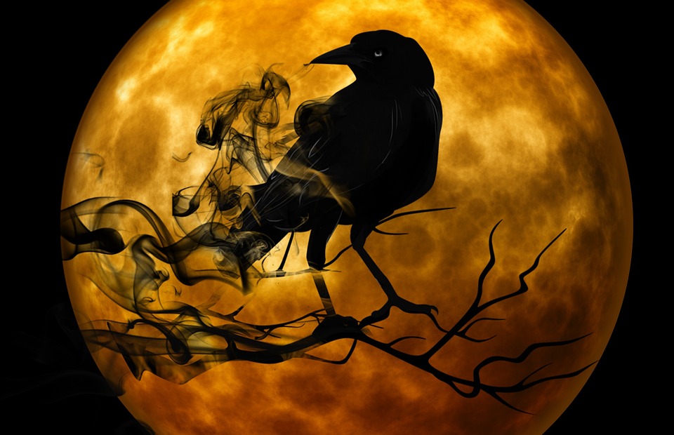 Smoky Crow Silhouette