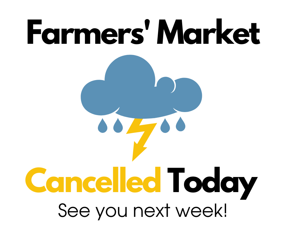 Friends mini book sale at the farmers' market cancelled 7/14 due to weather