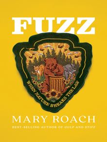 Fuzz book cover image