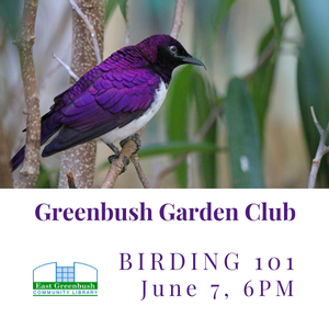 Greenbush Garden Club: Birding 101