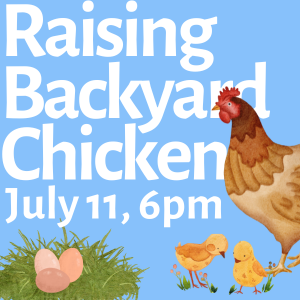 raising backyard chickens july 11 at 6pm