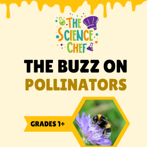 Science Chef Pollinators