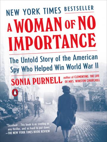 A Woman of No Importance book cover