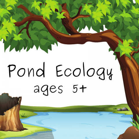 Pond Ecology