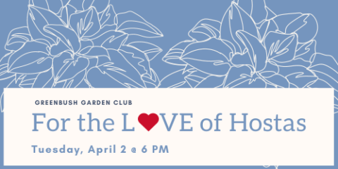 Greenbush Garden Club: For the Love of Hostas, Tuesday April 2nd at 6 PM. Register