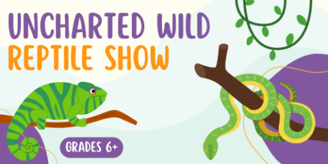 Uncharted Wild Reptile Show