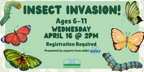 Image with butterflies and caterpillars. Reading title of event, age restriction, and details listed in event page.