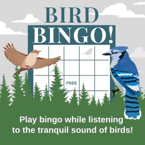 Bingo card with birds on it