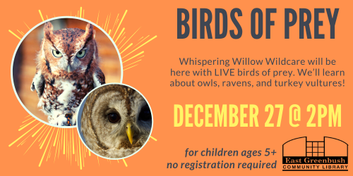 Birds of Prey: December 27 @ 2pm, Ages 5+