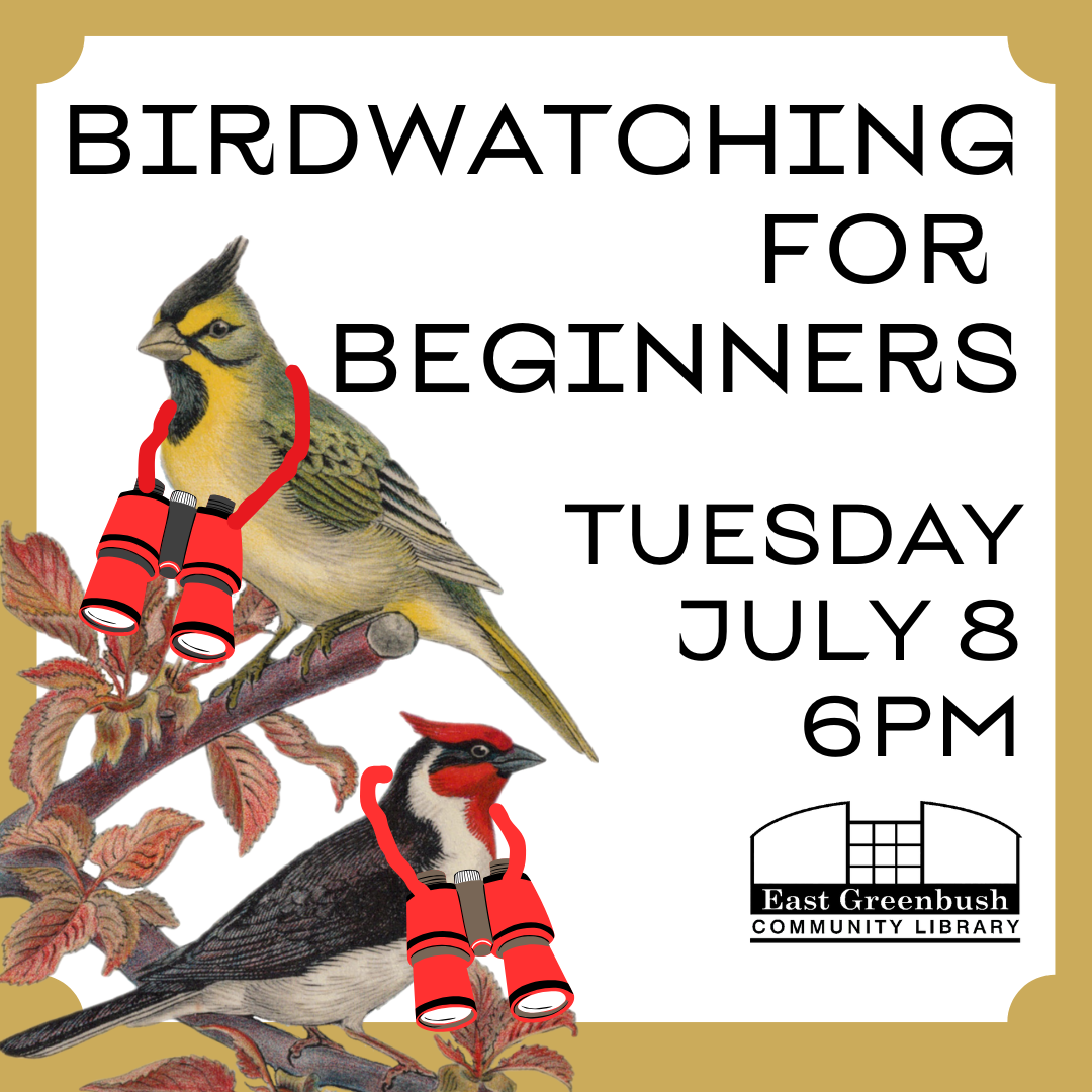 birdwatching for beginners tuesday july 8 at 6pm